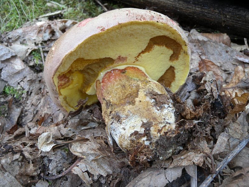 Forse l''ultima bellissima giornata..!!